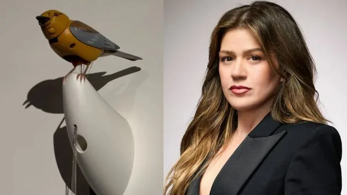 What's Up With Kelly Clarkson And The $15,000 'Singing Bird' Controversy?  The 'Art Of Play' Drama And Memes Explained