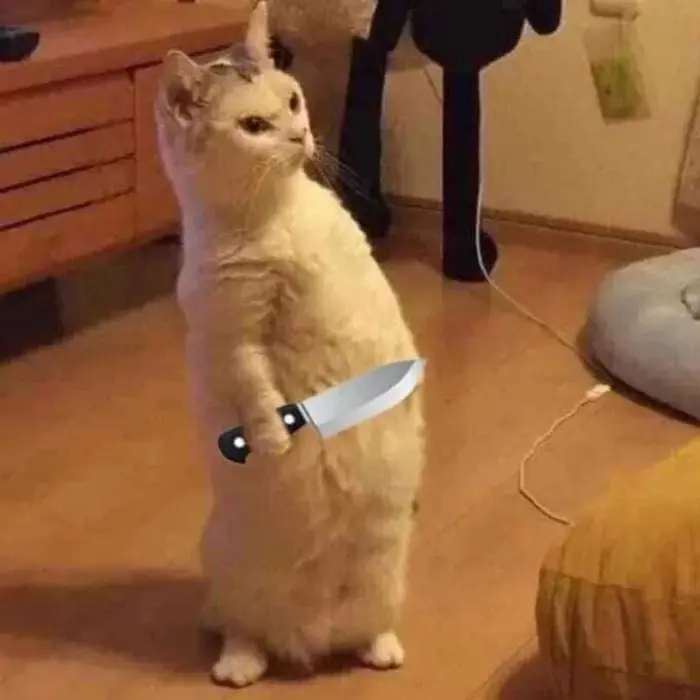 Tổng hợp ảnh meme cầm dao vui nhộn khiến bạn bật cười