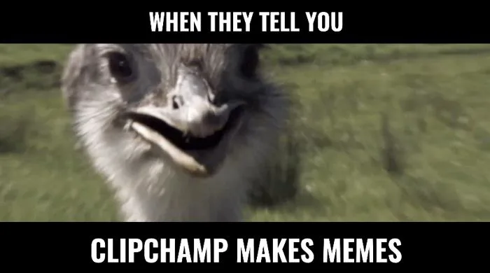 Trình tạo meme video miễn phí | Clipchamp