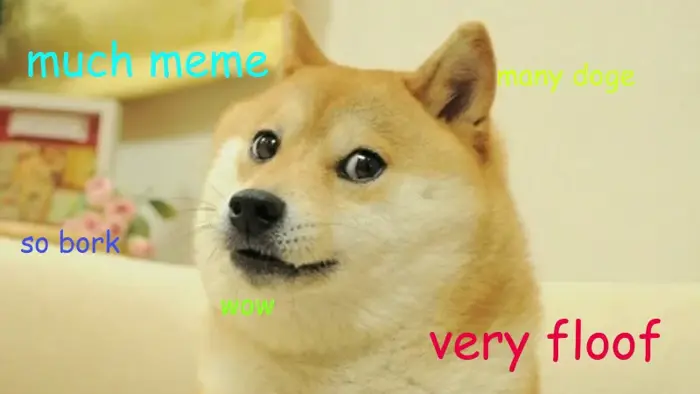 Doge Meme Generator — Kapwing