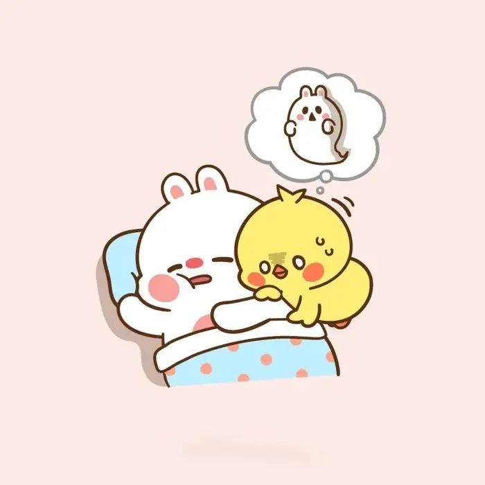Bộ sưu tập ảnh gà meme cực kỳ hài hước và dễ thương