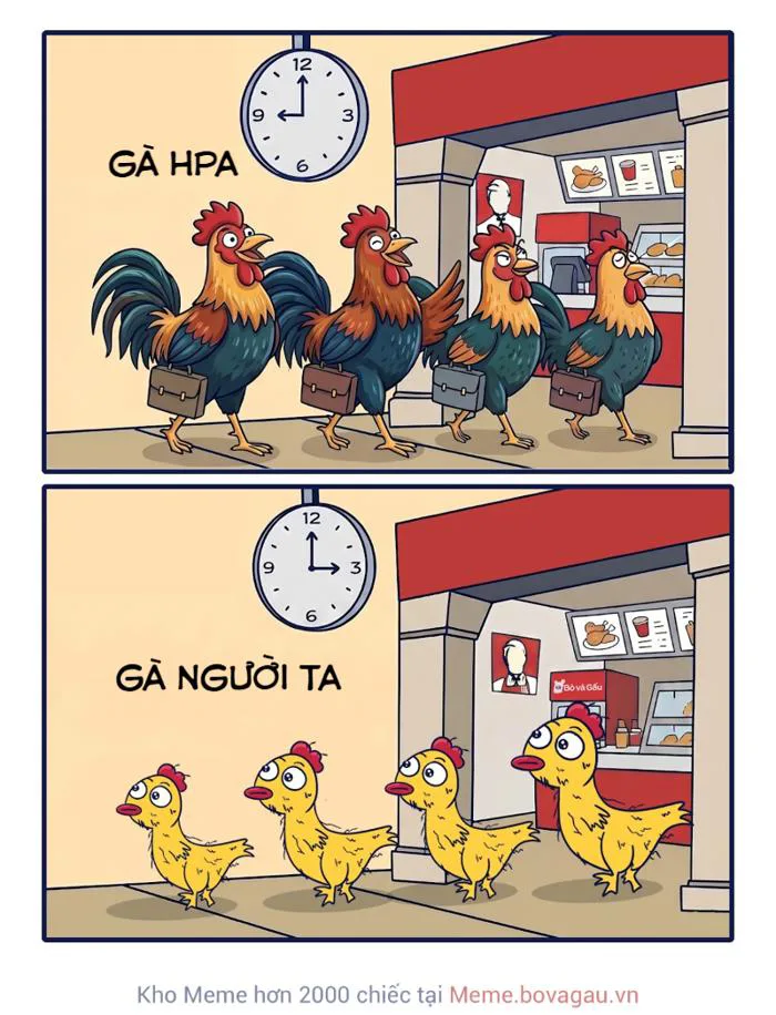 🥚 HÒA PHÁT CÓ “ĐẾ CHẾ TRỨNG GÀ” KHỔNG LỒ ĐẾN MỨC NÀO? 1,2 TRIỆU CON GÀ,  GẦN 1 TRIỆU QUẢ TRỨNG MỖI NGÀY!