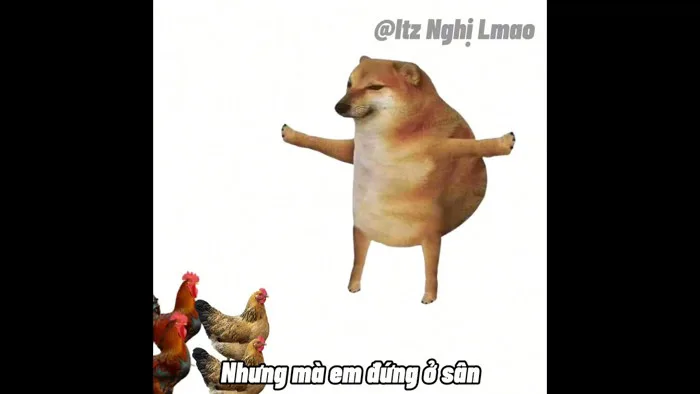 Nhà em nuôi 1 đàn gà (cre dingdingtv) #j4f #meme #animation - YouTube
