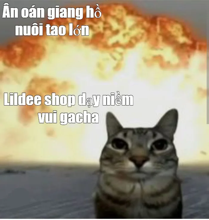Meme: 