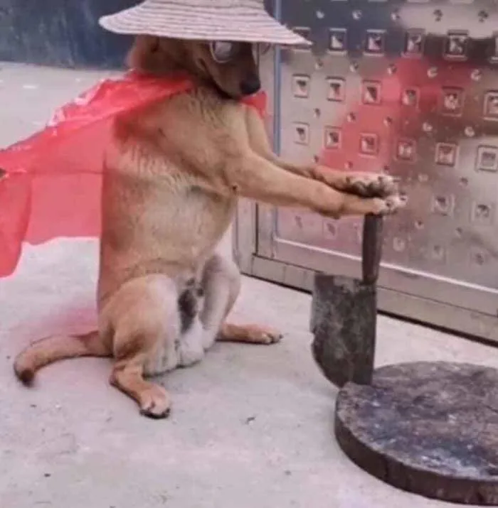 Giang hồ hiểm ác anh không sợ chỉ sợ đường về vắng bóng em... :)) | Viết  bởi hoanggiang00