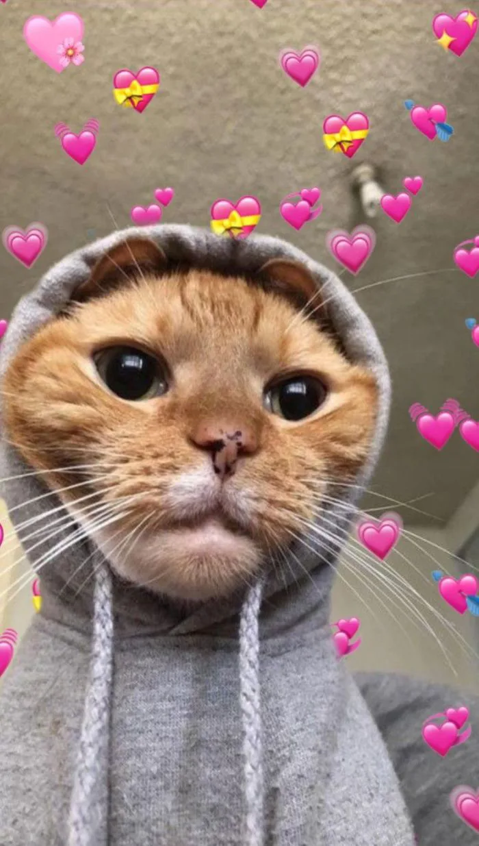 Heart meme