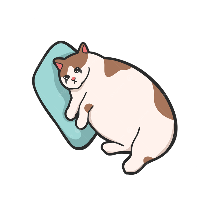 Broken Heart Mascara Cat Meme Sticker Vector Cute Illustration, Heart  Clipart, Cat Clipart, Cute Clipart PNG and Vector with Transparent  Background for Free Download