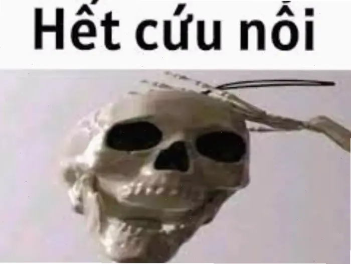 Tổng hợp 1544+ Meme Hết Cứu: Biểu Cảm "Bó Tay" Độc Đáo 2026