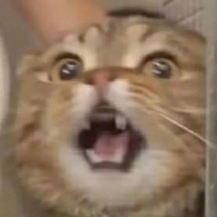 Tổng hợp ảnh meme bất ngờ hài hước làm bạn trở tay không kịp