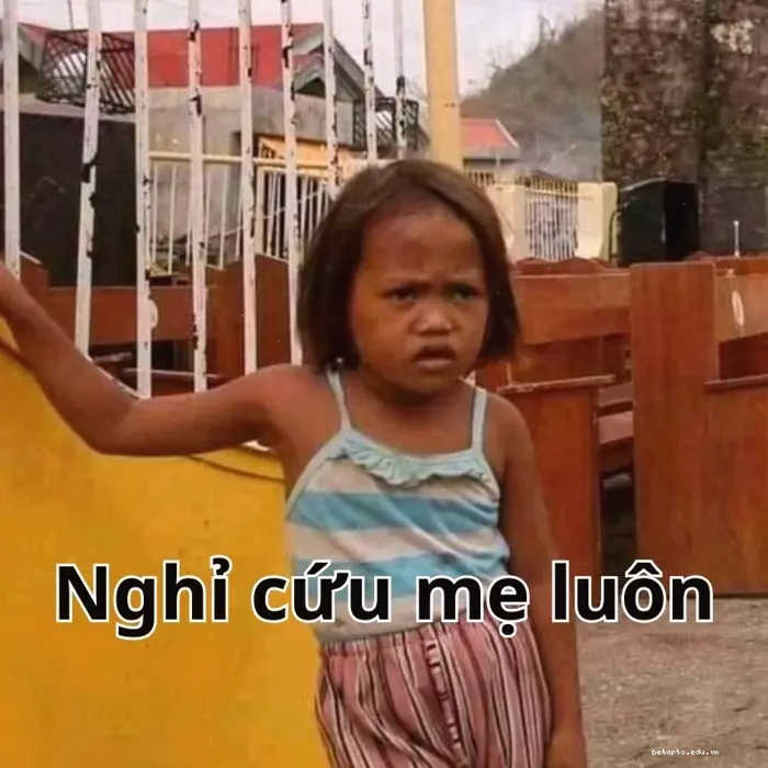 Tổng hợp 1544+ Meme Hết Cứu: Biểu Cảm "Bó Tay" Độc Đáo 2026