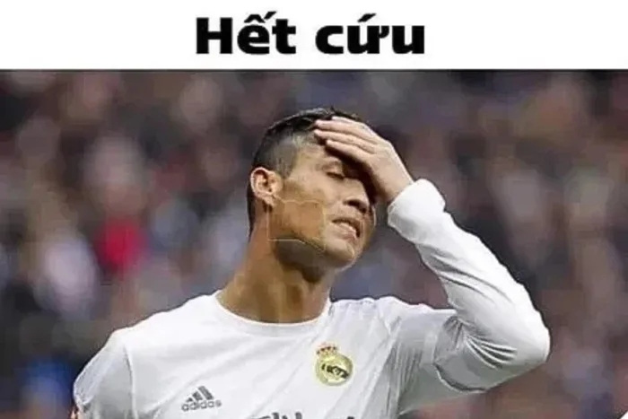 Bộ sưu tập meme hết cứu hài hước đang khuấy đảo cộng đồng mạng