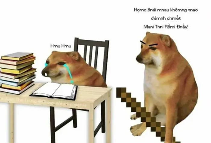 Meme học bài là gì? Tổng hợp meme học bài hài hước và thú vị của học sinh,  sinh viên