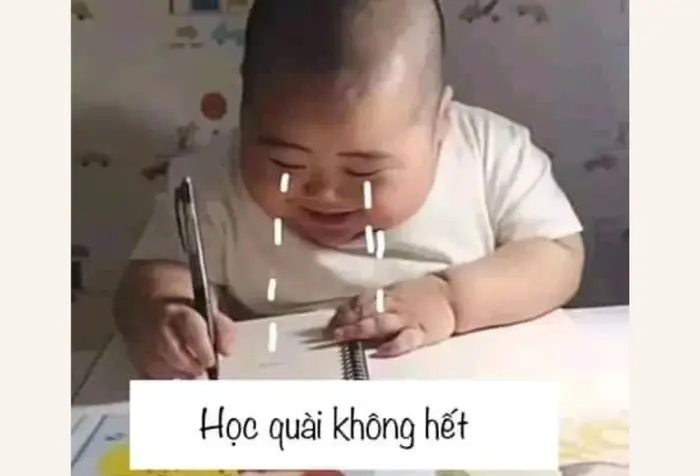 Meme học bài là gì? Tổng hợp meme học bài hài hước và thú vị của học sinh,  sinh viên
