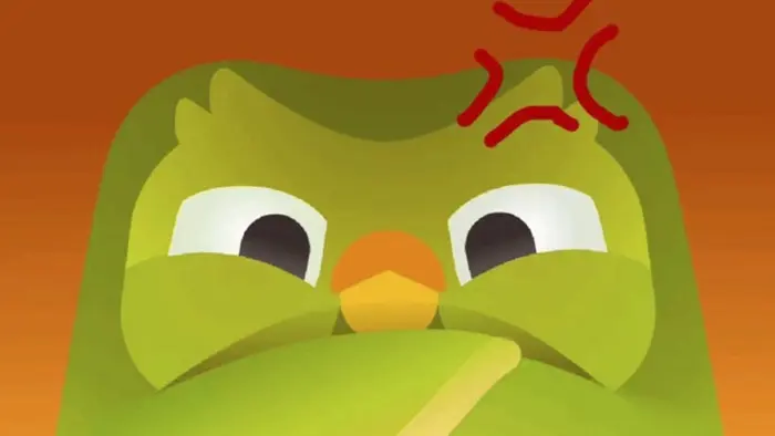 Bộ sưu tập ảnh Duolingo Meme khiến dân mạng phát cuồng