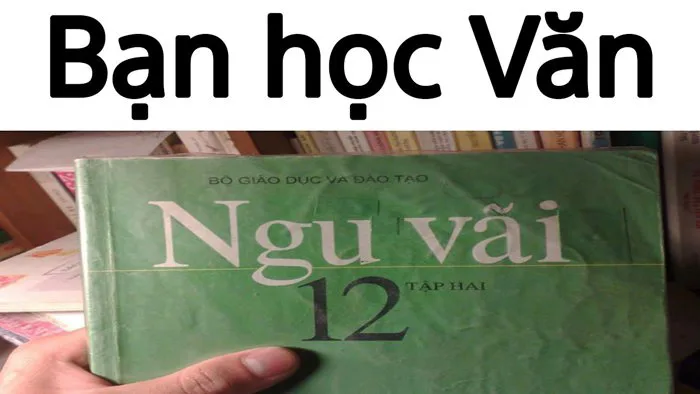 Học Văn qua meme