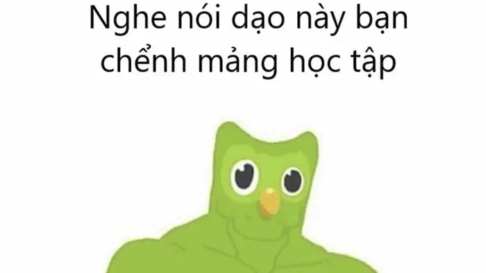 TOP 95+ Meme Học Bài Hot Nhất Khiến Gen Z Cười Ra Nước Mắt