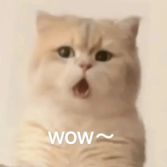 Tổng hợp hình wow meme biểu cảm hài hước cực chất