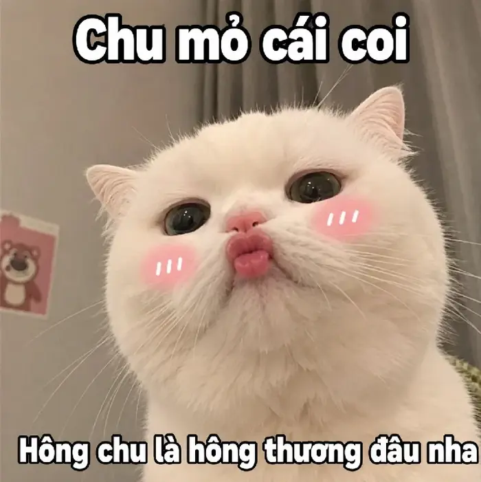 168+ Meme Chu Mỏ hôn thả tim bựa dỗi cực hài
