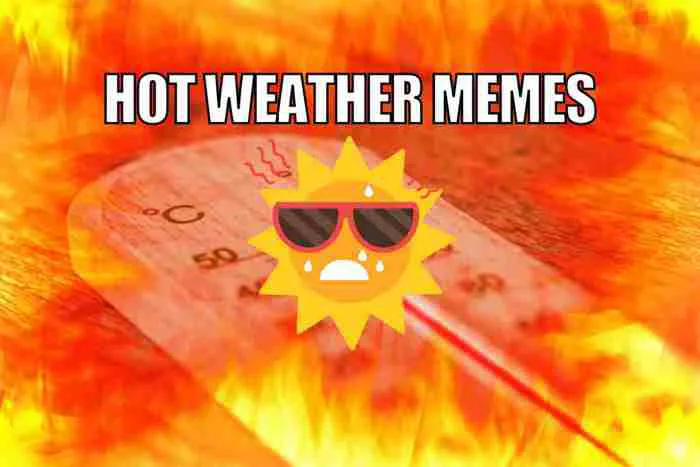 35 Hot Weather Memes That Totally Get The Summer Struggle