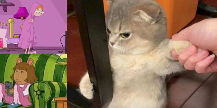 Cười té ghế với collection meme hot nhất Anhnghethuatdulich.com