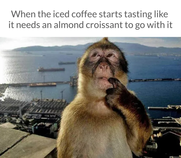 meme-images-1