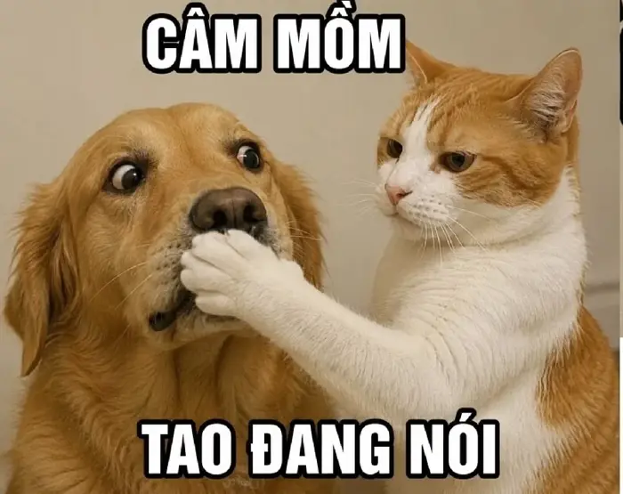 Full meme Câm Mồm, nói ít thôi, ảnh chế khoá mõm bựa