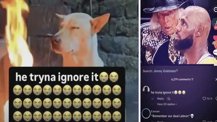 Where Did The 'He Tryna Ignore It' Meme Come From? The Viral Reaction Image  Explained