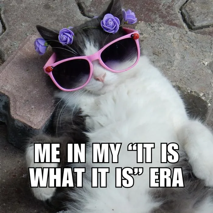 Free and customizable meme templates | Canva