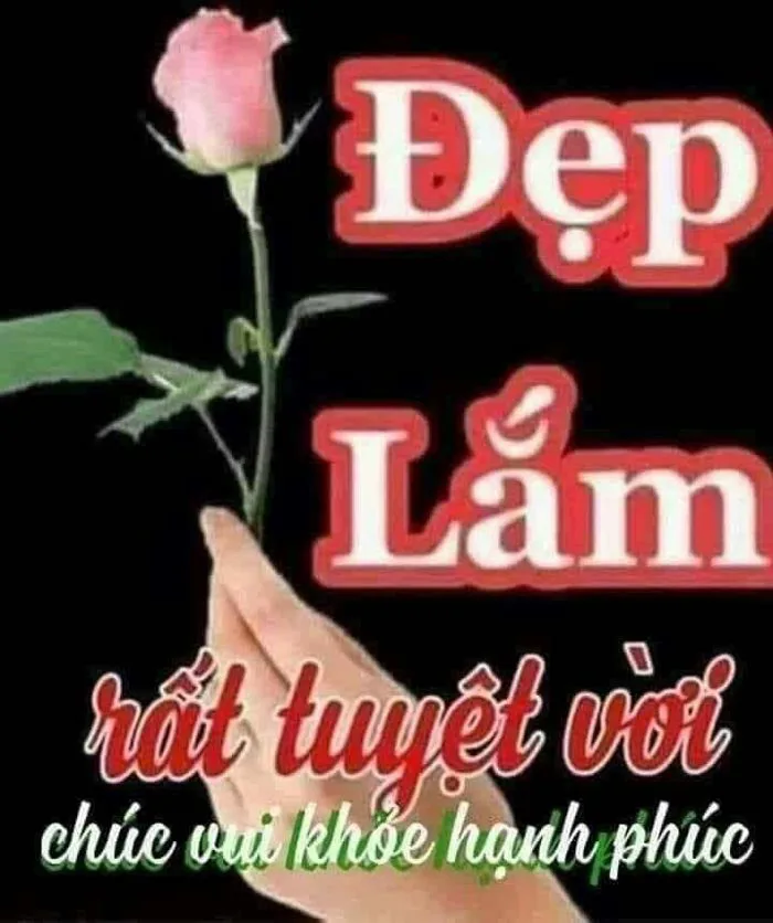 Ghim của Kimcuc Hathi trên KYO loi khen trong 2022 | Hình ảnh, Ảnh vui, Meme