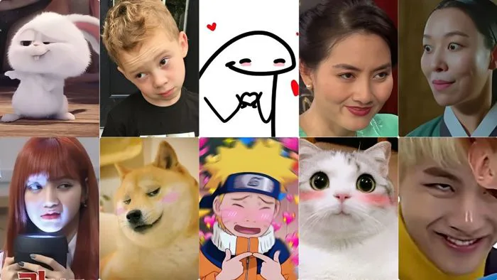 110+ ảnh meme cười đểu giả trân vô cùng hài hước