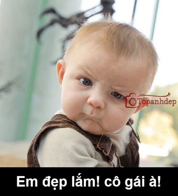 Meme em bé cute hài hước, đáng yêu ai cũng muốn sở hữu – topanhdep.com