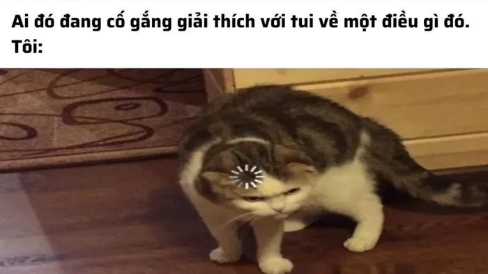 Khám phá những meme khó hiểu cực hài hước, thú vị, bá đạo nhất