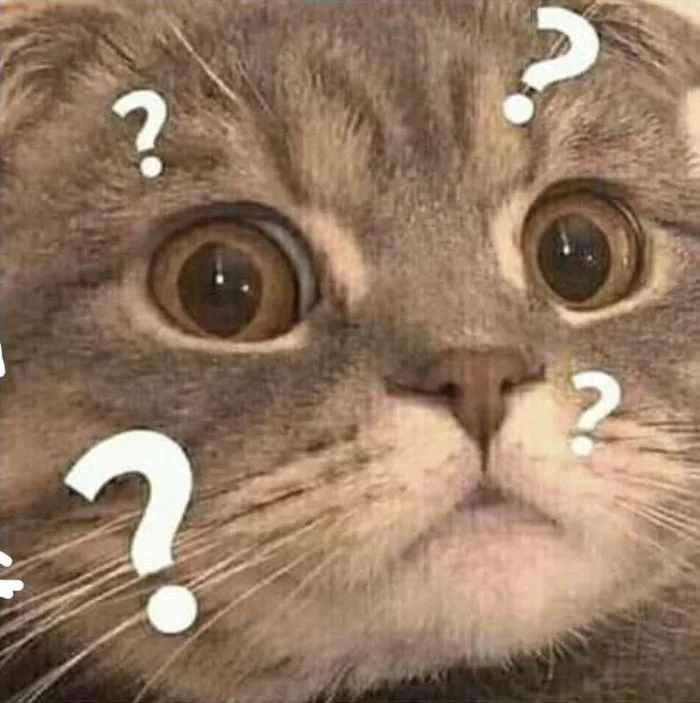 Tổng hợp meme khó hiểu hài hước