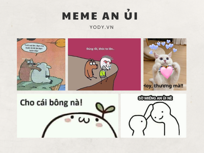 7749+ Meme An Ủi Cực Kỳ Hài Hước, Đáng Yêu | Yody