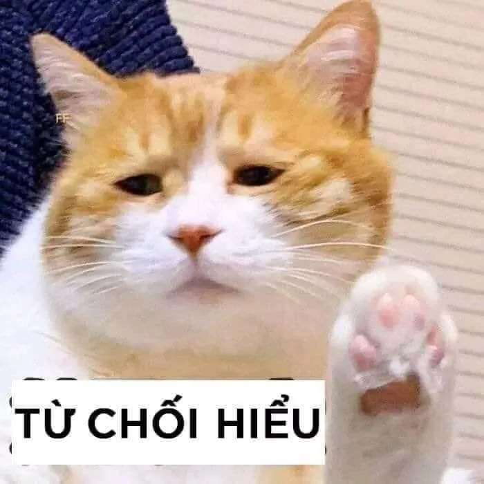 Tổng hợp meme không, no, từ chối hài hước, bựa