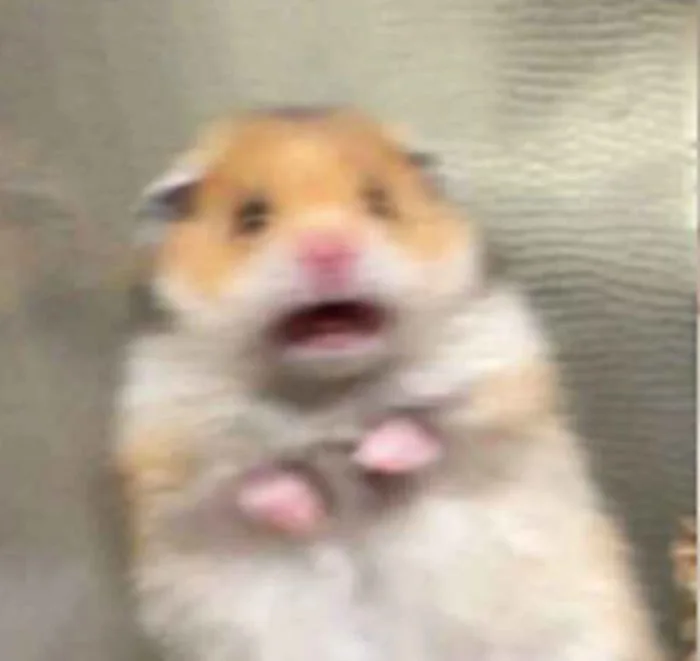 Trọn Bộ 100+ Meme Sợ Hãi Vui Nhộn, Hóm Hỉnh 2026