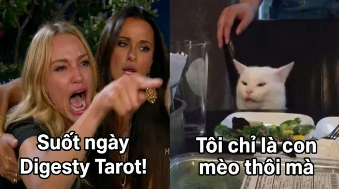 Padme Lo Lắng - Ảnh viện Digesty