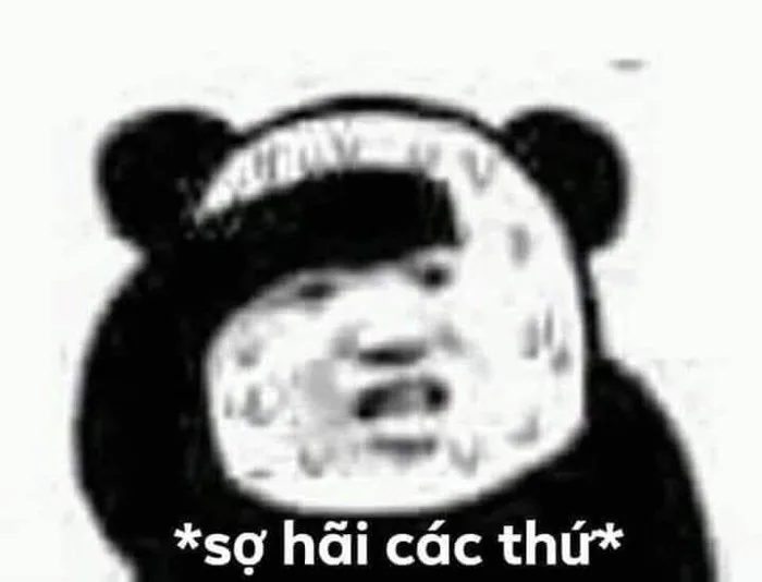 Gấu trúc toát mồ hôi hột lo lắng 