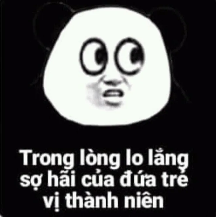 Follow tui và caccau sẽ có nhiều meme hơn :>” title=”Follow tui và caccau sẽ có nhiều meme hơn :>” style=”margin: 0 auto; display: block; max-width: 100%; height: auto;”/><figcaption style=