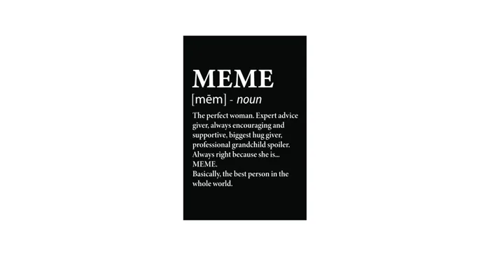 Meme Definition: 6x9