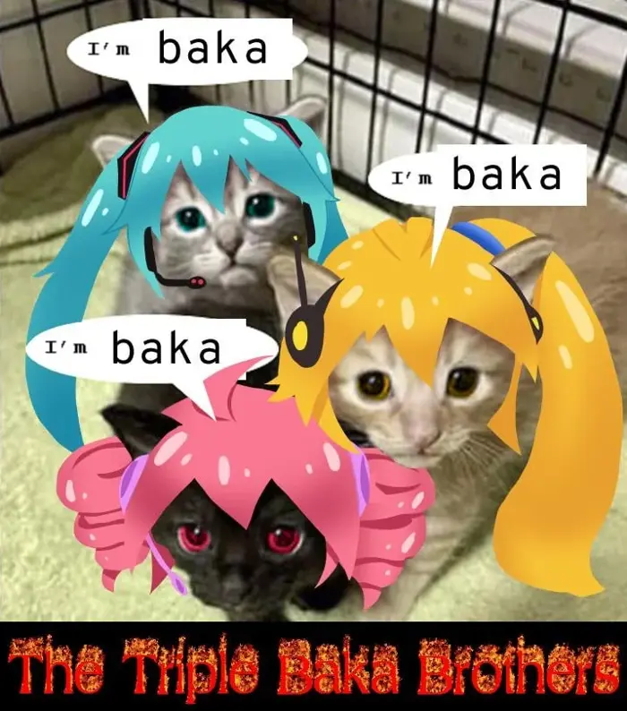 Baka Meme, Japanese Meaning, Anime Origin & How to Use | Meme Wiki