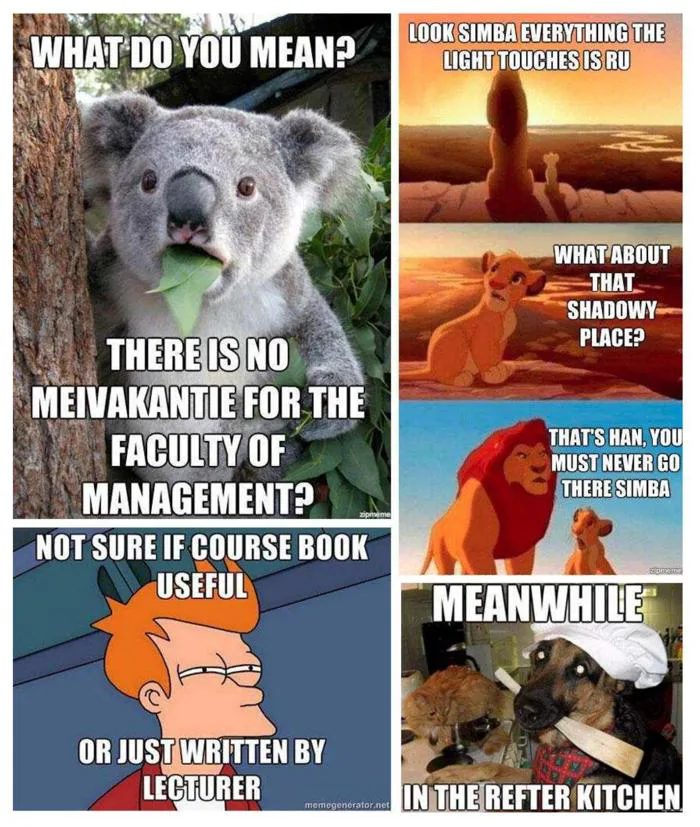 PDF) Makes a Meme Instead: A Concise History of Internet Memes | Academia