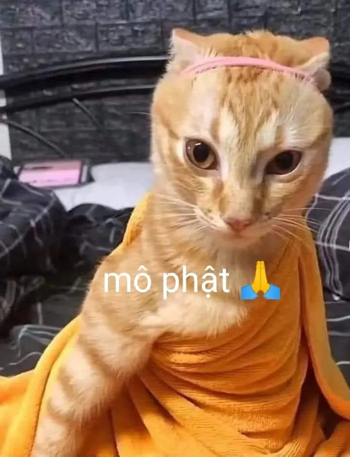 LƯU NGAY 111+ Meme Hài Bựa ĐỘC NHẤT VÔ NHỊ | Yody