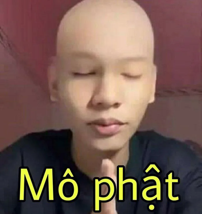 17 Xamlul ý tưởng | ảnh meme hài, ảnh mêm, ảnh meme