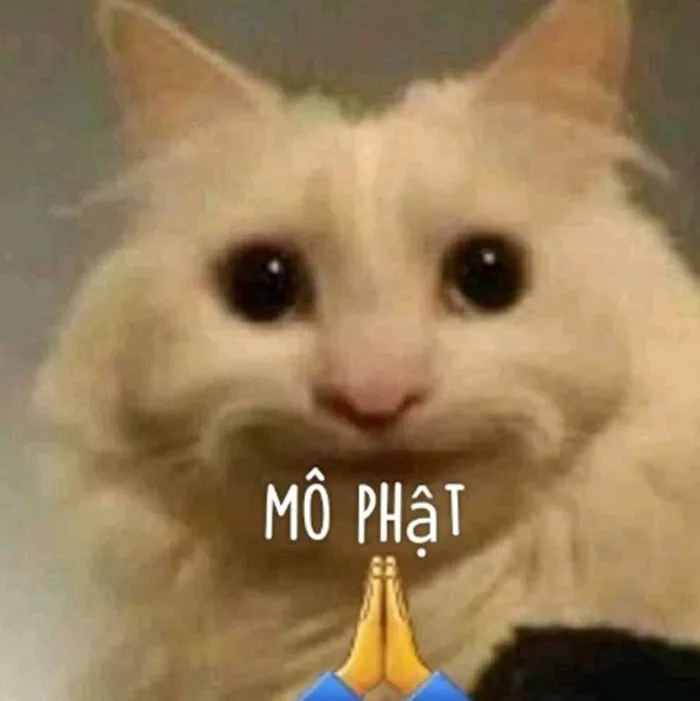 Top 50+ Meme A Di Đà Phật, Mô Phật Hài Hước Giúp Gen Z 