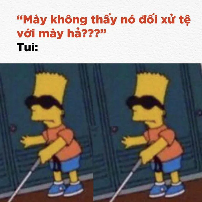 Tổng hợp những meme mù hài hước và đầy chất bá đạo