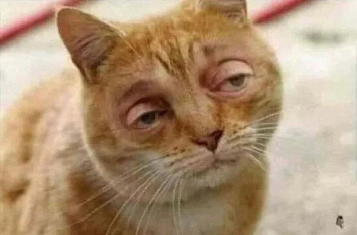 Tuyển tập meme mù hài hước, thú vị để bạn thoải mái nhắn tin vui đùa cùng  bạn bè