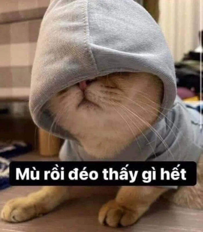 Tổng hợp meme mù hài hước, bá đạo