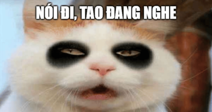 Tuyển tập meme mù hài hước, thú vị để bạn thoải mái nhắn tin vui đùa cùng  bạn bè