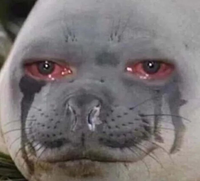 Tuyển tập meme mù hài hước, thú vị để bạn thoải mái nhắn tin vui đùa cùng  bạn bè
